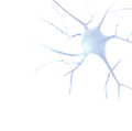 Neurología