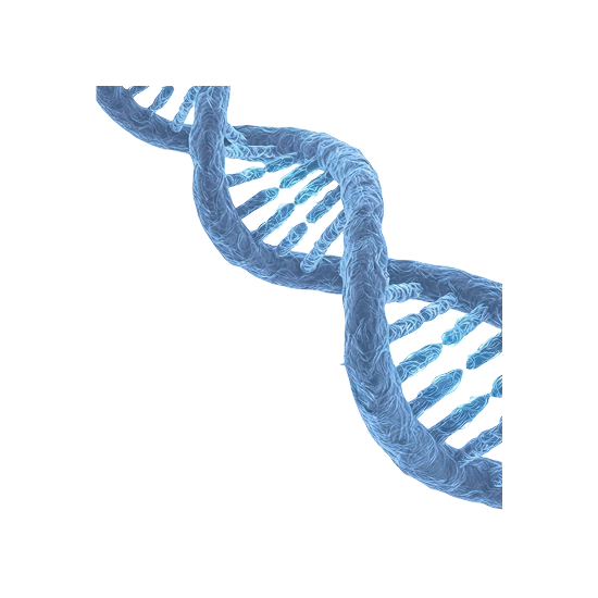 Rare diseases