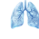 Pulmonology
