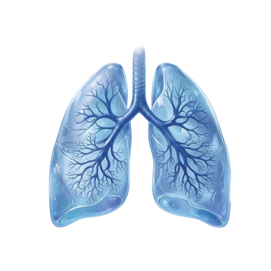 Pulmonology